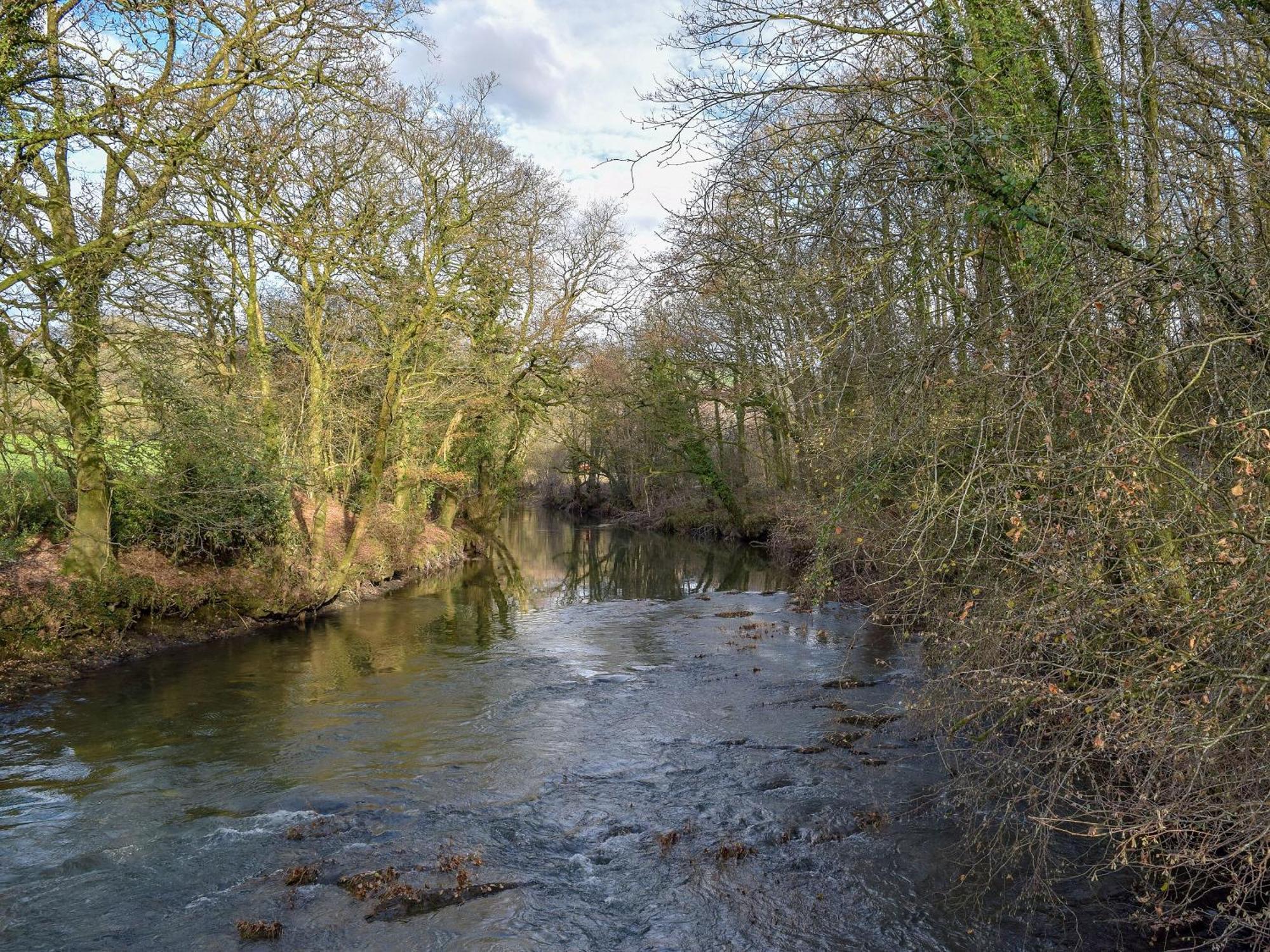 Cothi Cottage Llanfynydd Екстер'єр фото